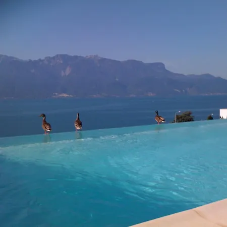 Riviera Apartment *